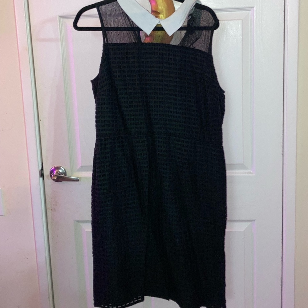 Karl Lagerfeld Collared Sheath Dress